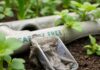 Как организовать сбор и повторное использование дренажных вод из теплицы: практическое руководство